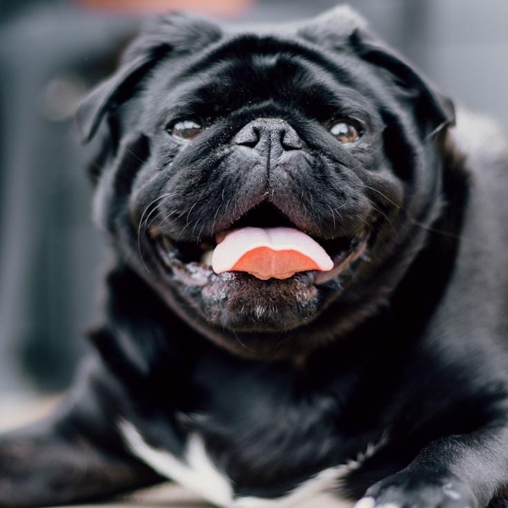 Landscape day trip near Portland, United States