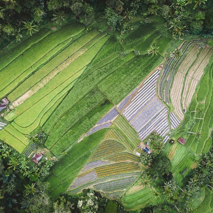 Outdoor terrace seating suitable for families in Portland